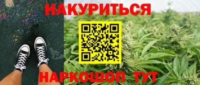 сатива Волгодонск